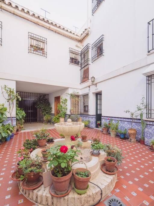 Mezquita Premium Lägenhet Córdoba Exteriör bild