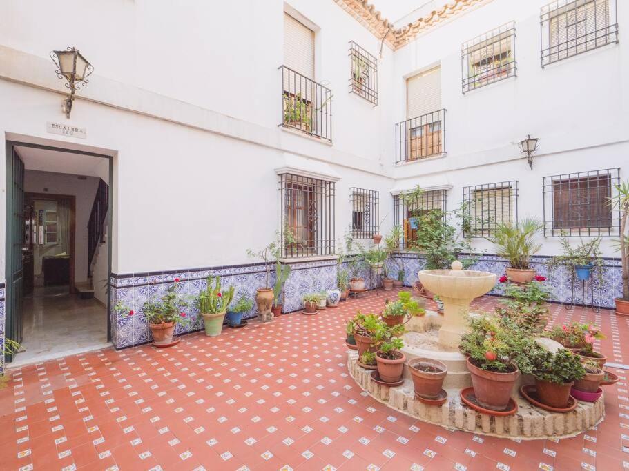 Mezquita Premium Lägenhet Córdoba Exteriör bild