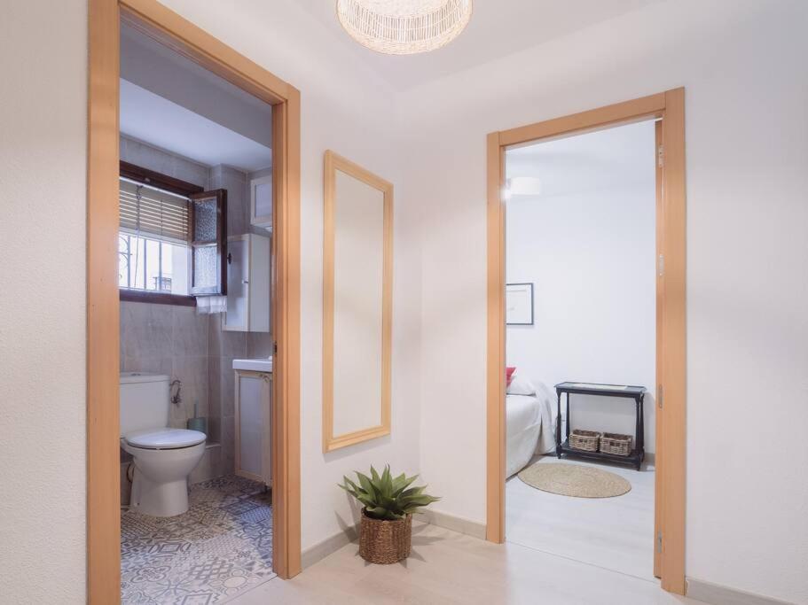 Mezquita Premium Lägenhet Córdoba Exteriör bild